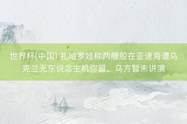 世界杯(中国) 扎哈罗娃称两艘船在亚速海遭乌克兰无东说念主机弥留，乌方暂未讲演