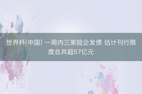 世界杯(中国) 一周内三家险企发债 估计刊行限度总共超57亿元