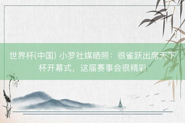 世界杯(中国) 小罗社媒晒照：很雀跃出席天下杯开幕式，这届赛事会很精彩