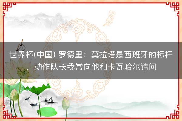 世界杯(中国) 罗德里：莫拉塔是西班牙的标杆，动作队长我常向他和卡瓦哈尔请问