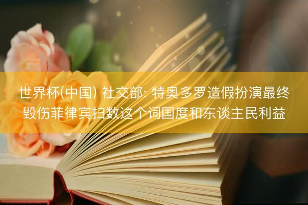 世界杯(中国) 社交部: 特奥多罗造假扮演最终毁伤菲律宾扫数这个词国度和东谈主民利益