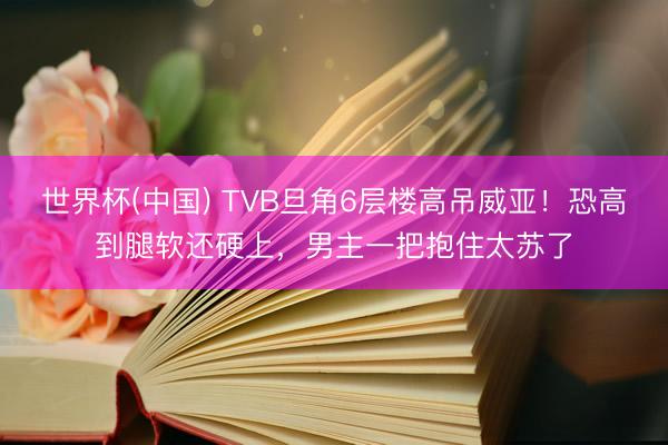 世界杯(中国) TVB旦角6层楼高吊威亚！恐高到腿软还硬上，男主一把抱住太苏了