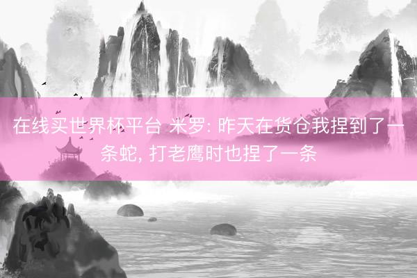 在线买世界杯平台 米罗: 昨天在货仓我捏到了一条蛇， 打老鹰时也捏了一条