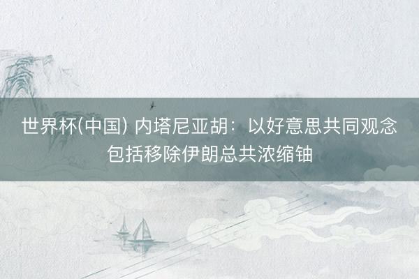 世界杯(中国) 内塔尼亚胡:以好意思共同观念包括移除伊朗总共浓缩铀