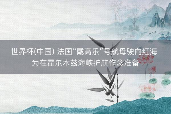世界杯(中国) 法国“戴高乐”号航母驶向红海 为在霍尔木兹海峡护航作念准备